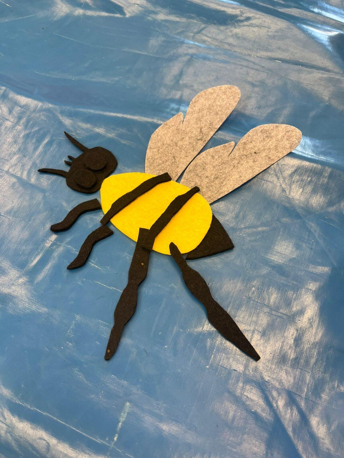 včelky u námořníků - 11