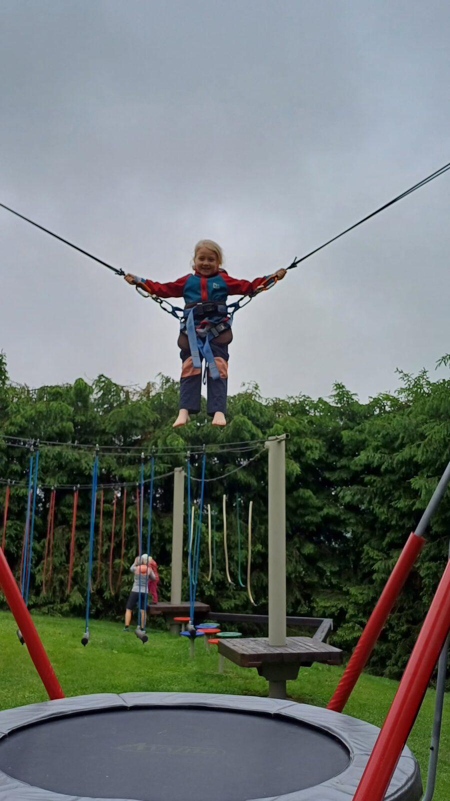 výlet - pinguin park - 39