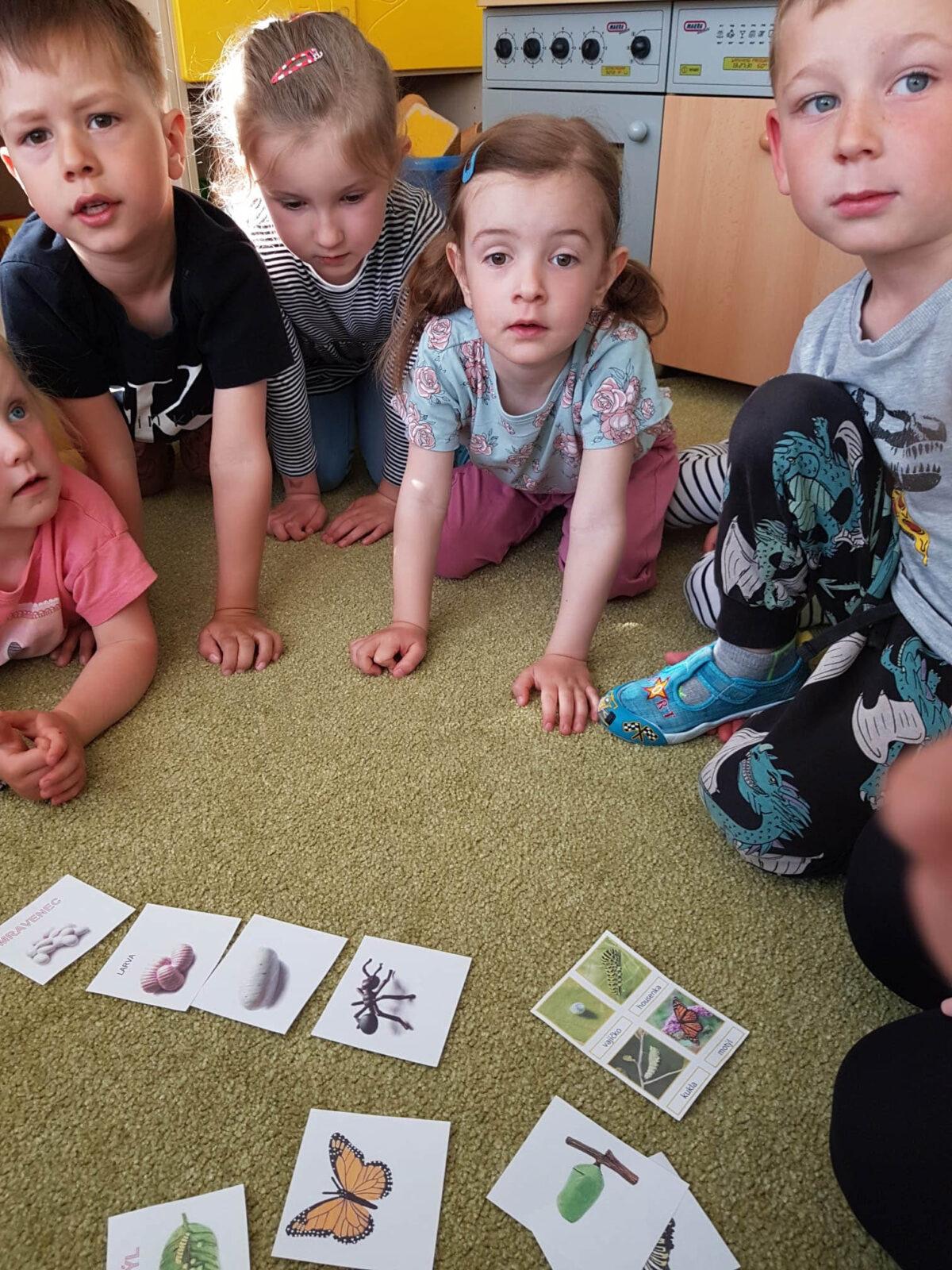 BROUČCI: ,,CO SI BROUKÁ JARNÍ LOUKA" - 41