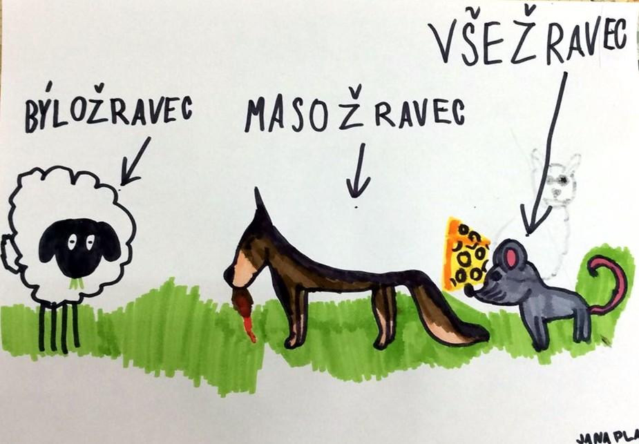 Příroda u třeťáčků 30. 5. - 47