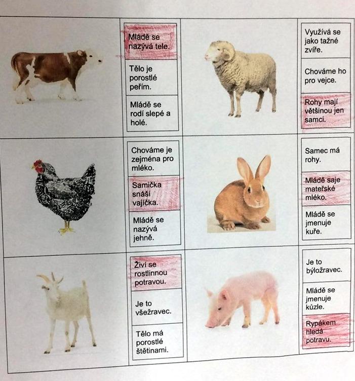 Příroda u třeťáčků 30. 5. - 42