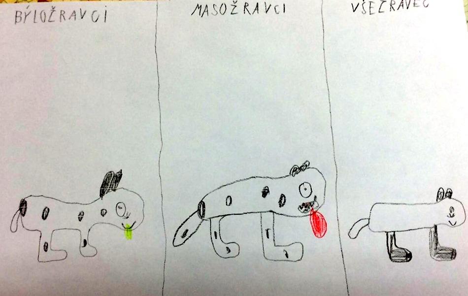 Příroda u třeťáčků 30. 5. - 45