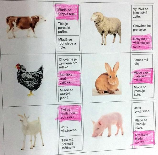 Příroda u třeťáčků 30. 5. - 46