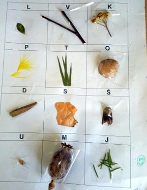 Příroda u třeťáčků 30. 5. - 53