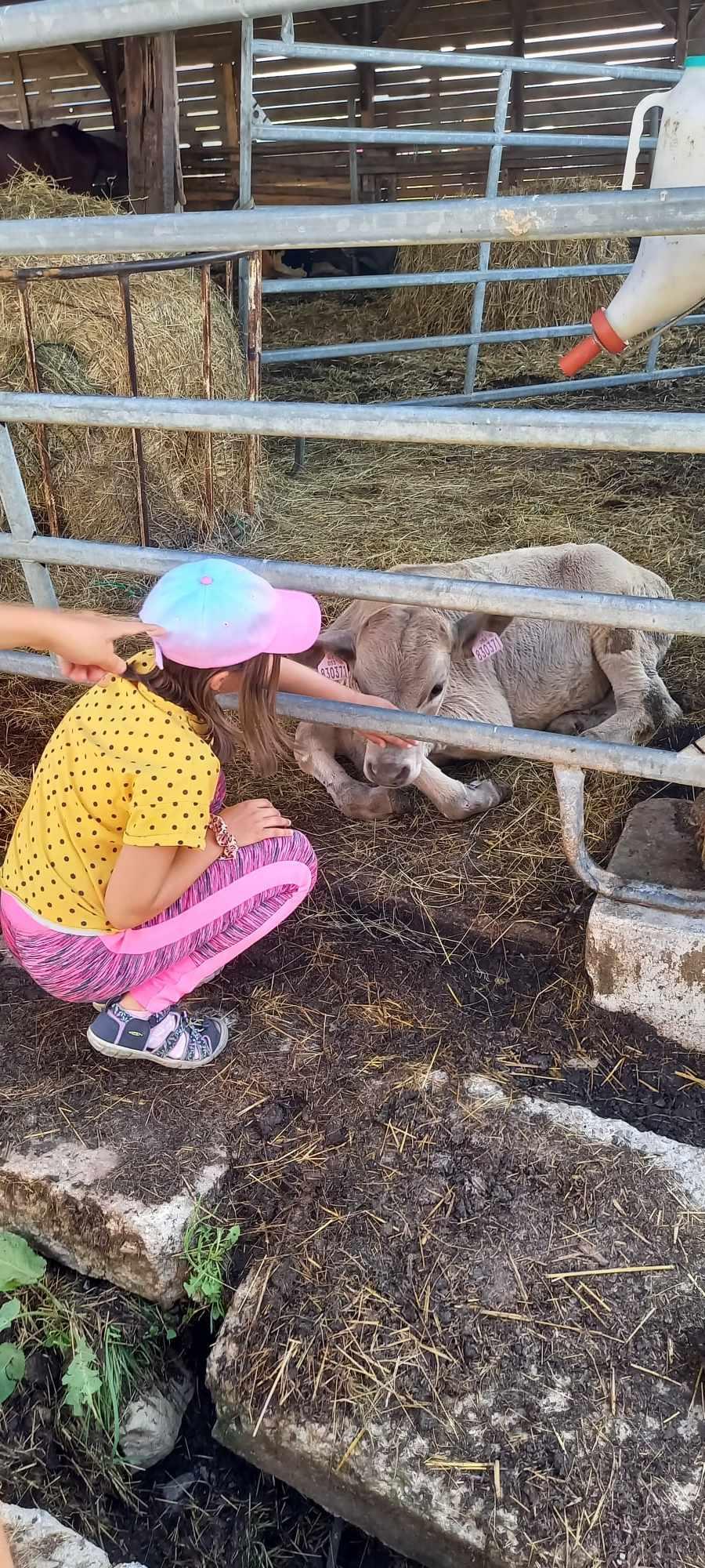TÝDEN PLNÝ ZÁBAVY - 5. DEN - PÁTEK 23.8. 2024 - 7