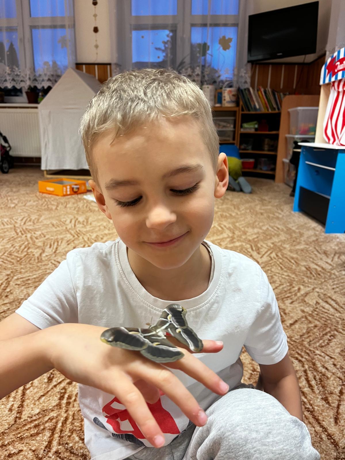 líhnutí motýlů ve školce - 2