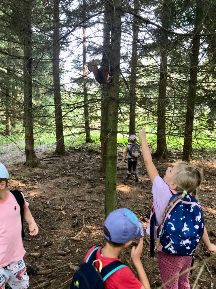 SOVIČKY: VÝPRAVA DO LESA - 3