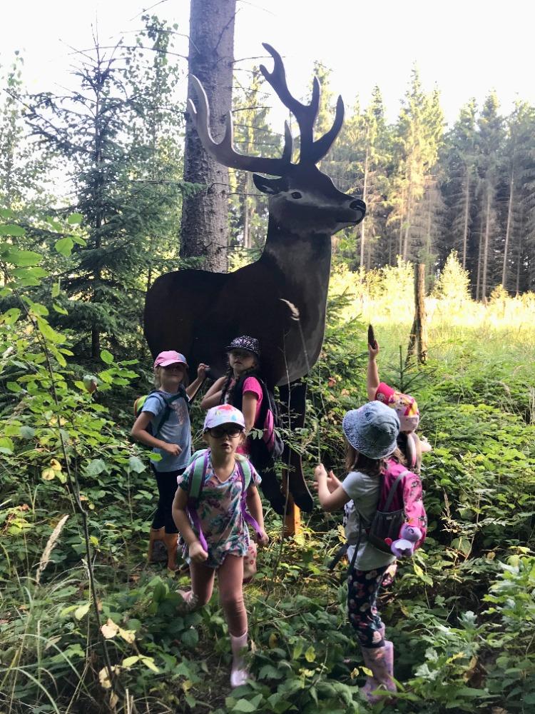 SOVIČKY: VÝPRAVA DO LESA - 4