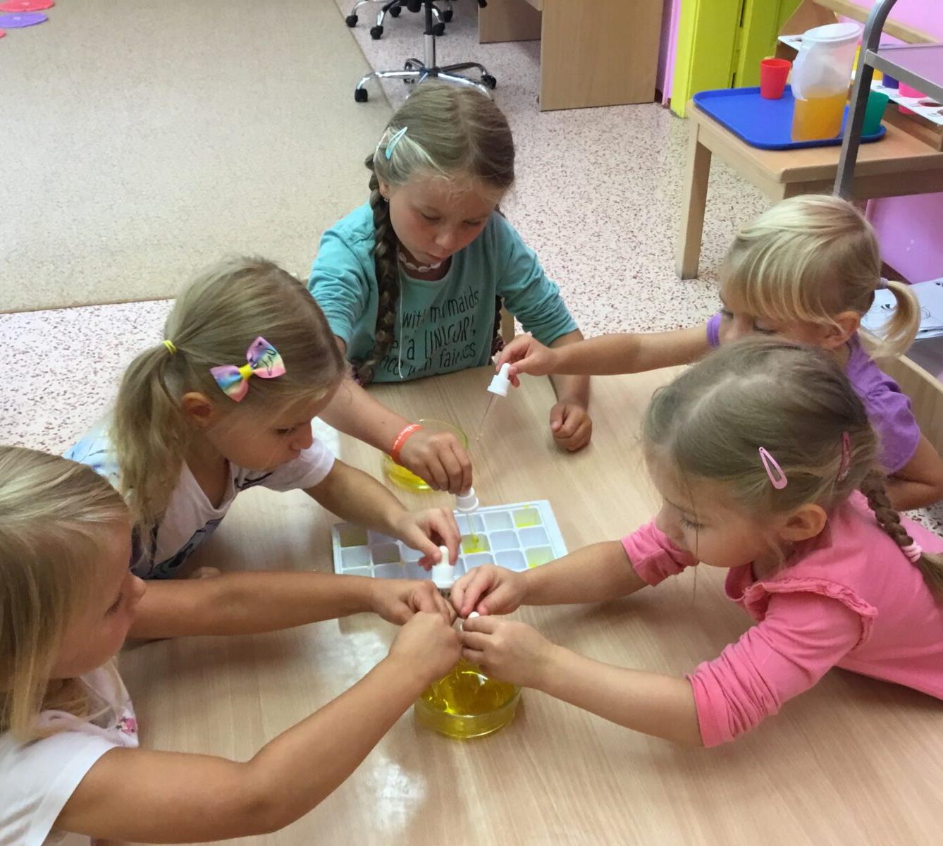 týdenní projekt: ,,od kytičky k medu" - 4