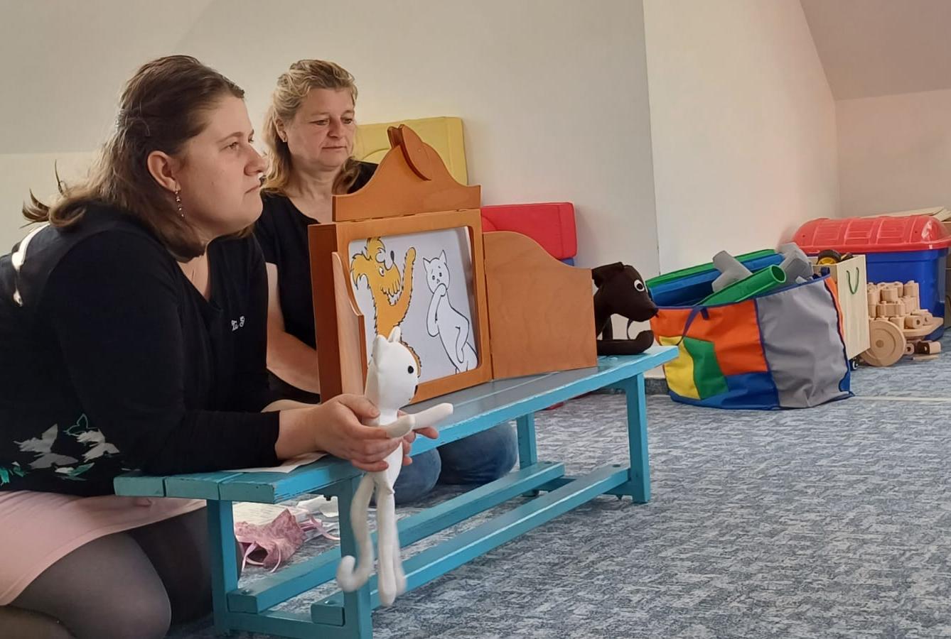 čtenářská gramotnost - jak pejsek s kočičkou dělali dort - 1