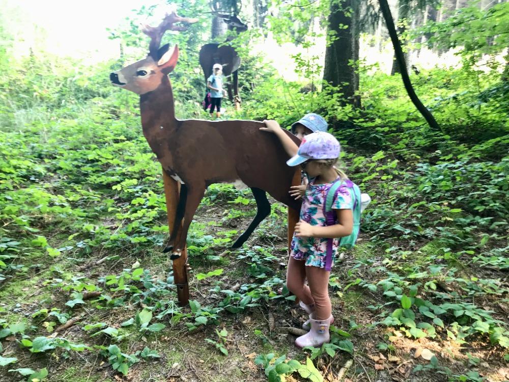 SOVIČKY: VÝPRAVA DO LESA - 7