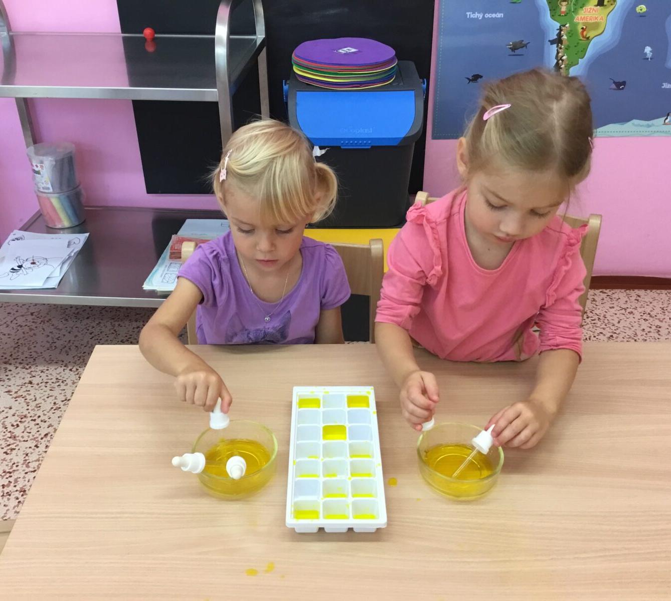 týdenní projekt: ,,od kytičky k medu" - 9