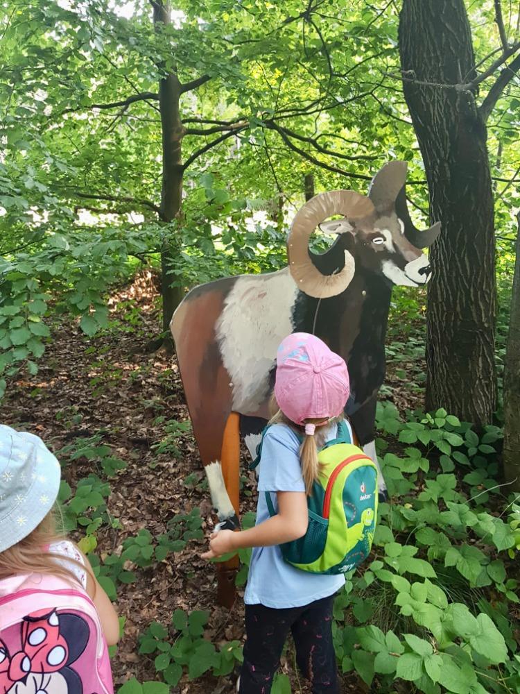 SOVIČKY: VÝPRAVA DO LESA - 9