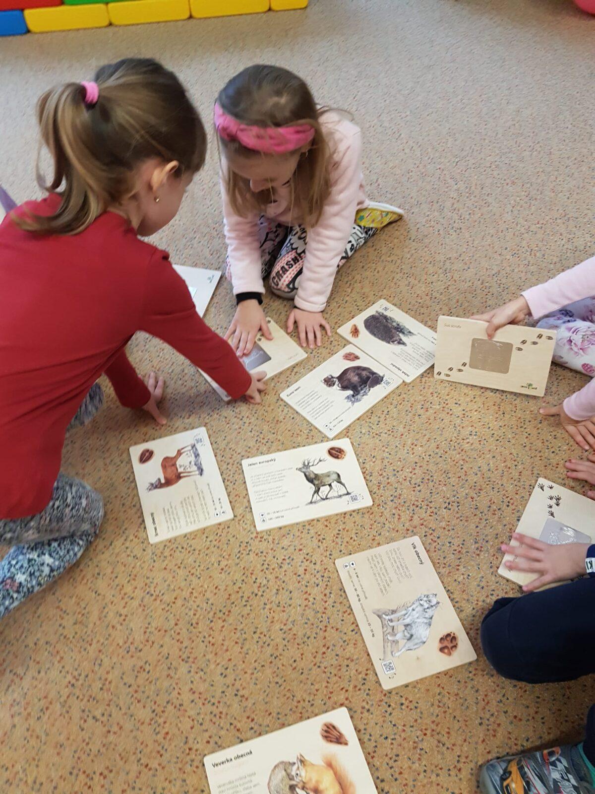 SOVIČKY: ,,ZVÍŘATA A PTÁCI V ZIMĚ" - 10