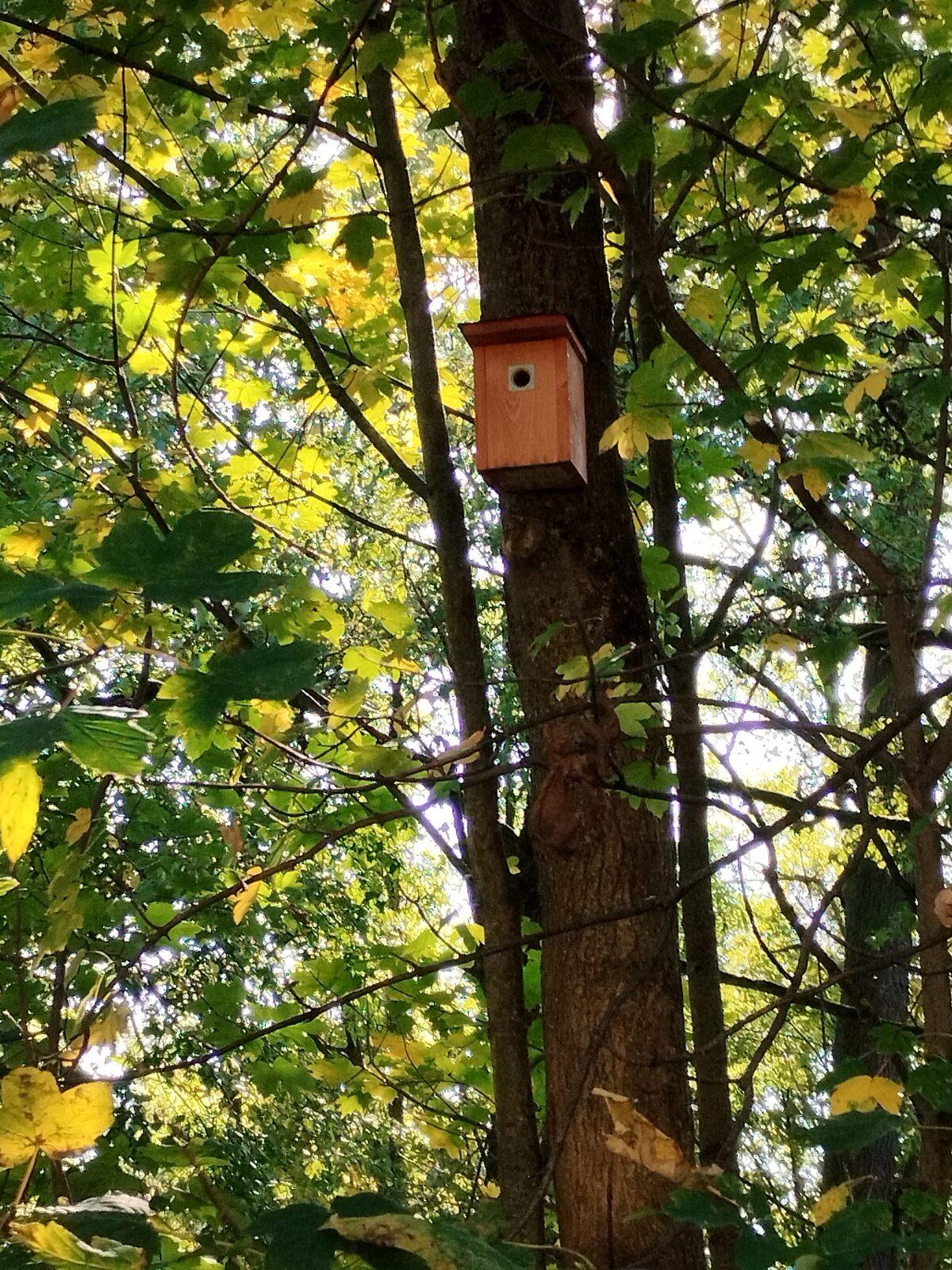 Tematická dílna Ptačí budky a krmítka - 20