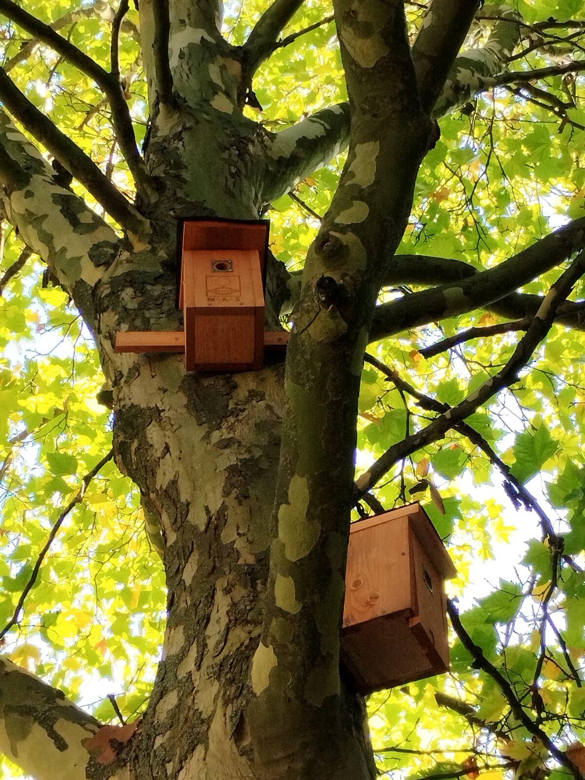 Tematická dílna Ptačí budky a krmítka - 21