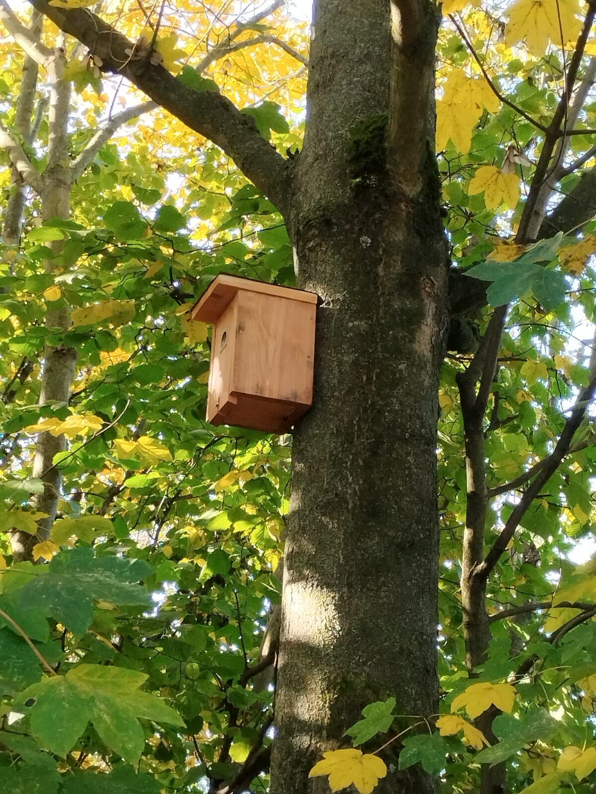 Tematická dílna Ptačí budky a krmítka - 22