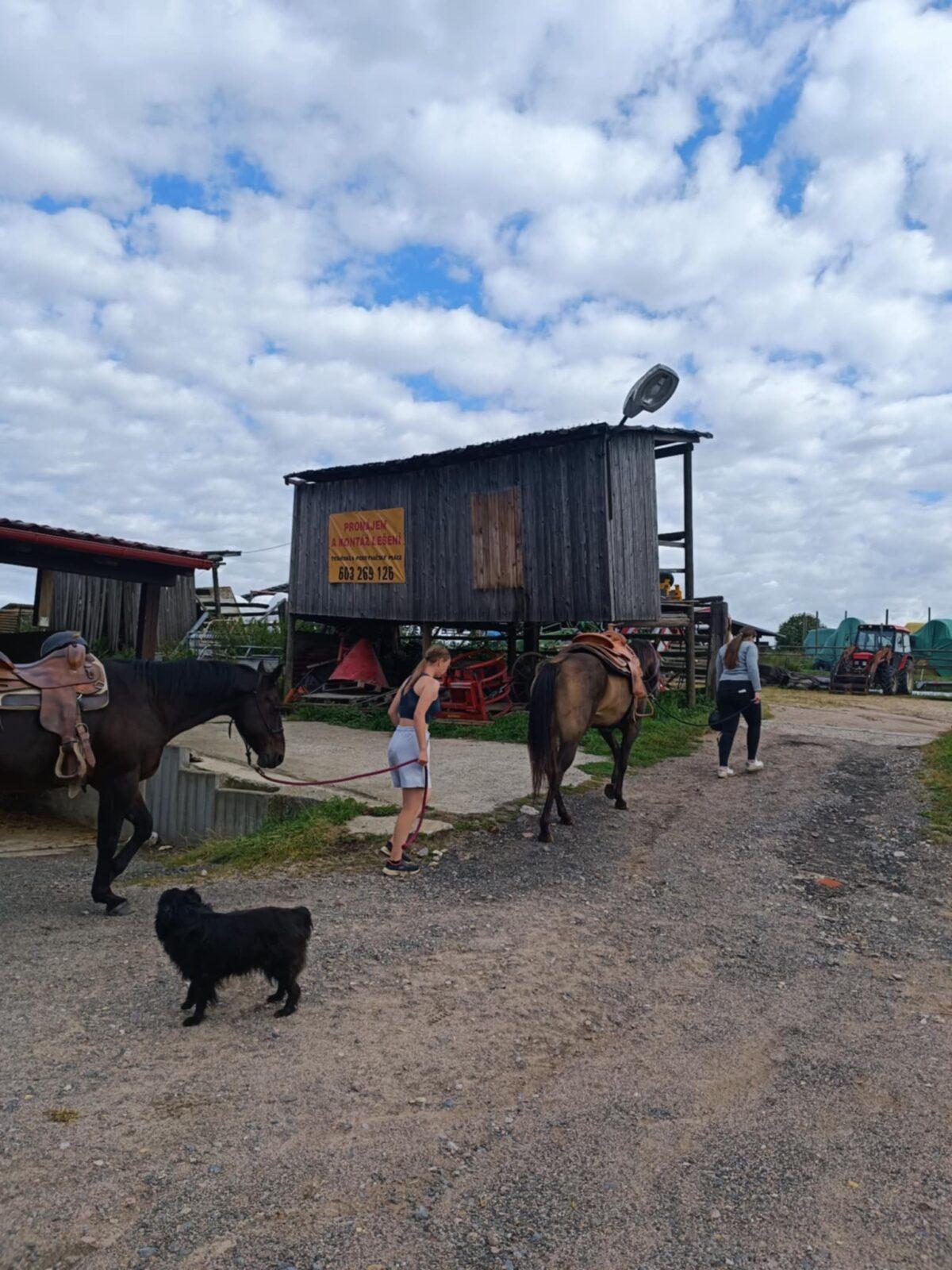 TÝDEN PLNÝ ZÁBAVY II - pátek - 9