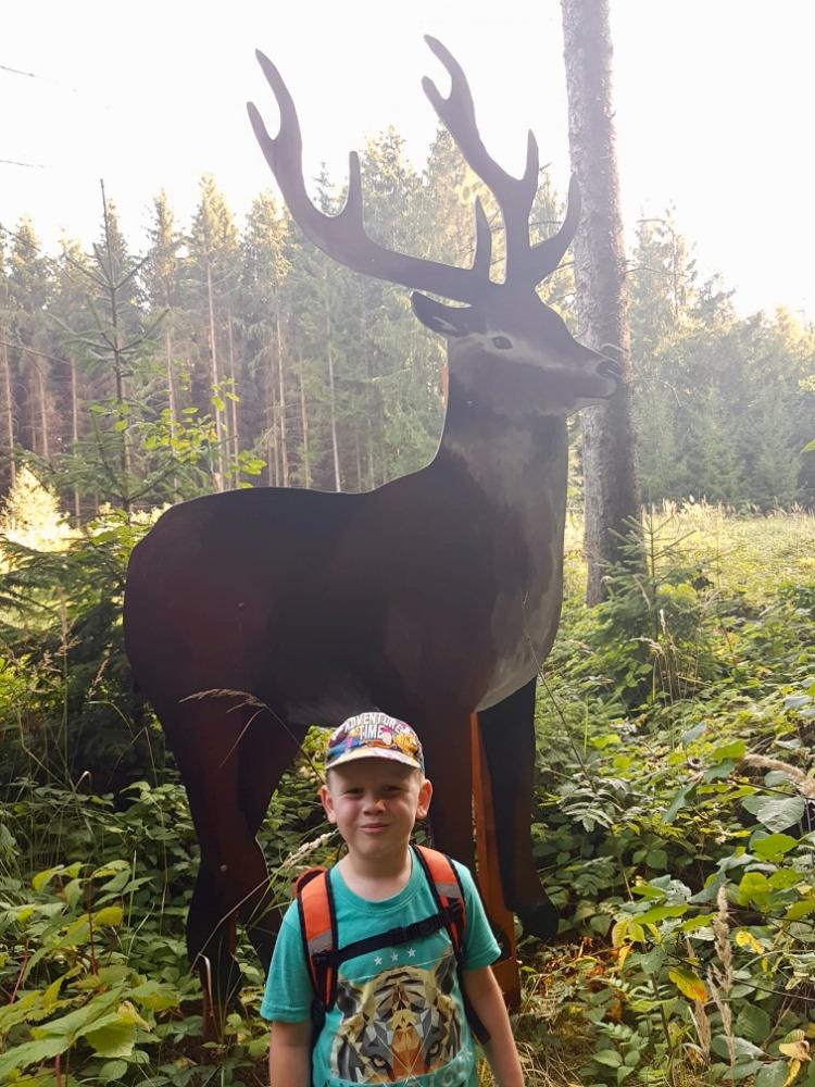 SOVIČKY: VÝPRAVA DO LESA - 11