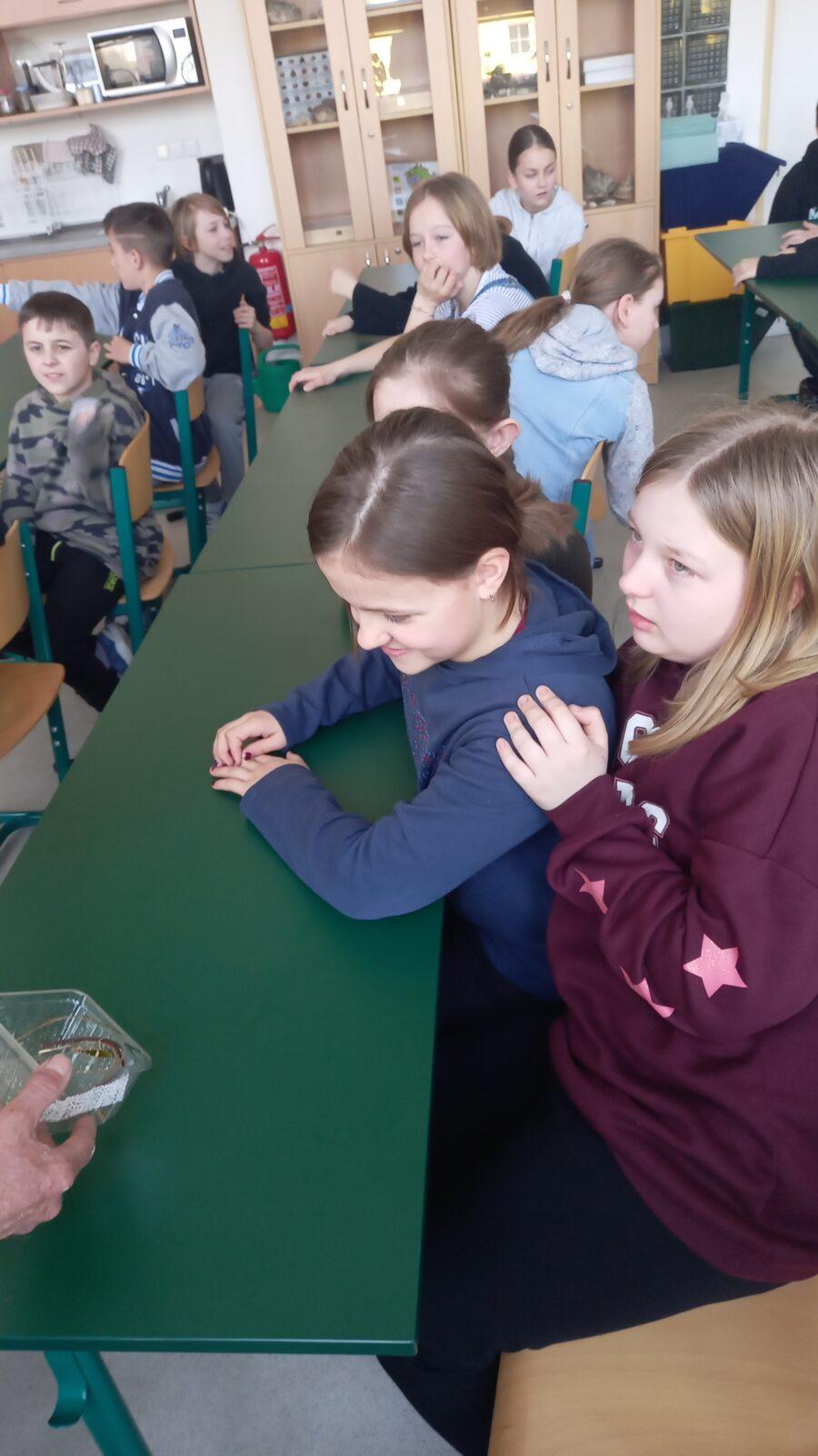 Přednáška s ukázkami exotických zvířat - 4