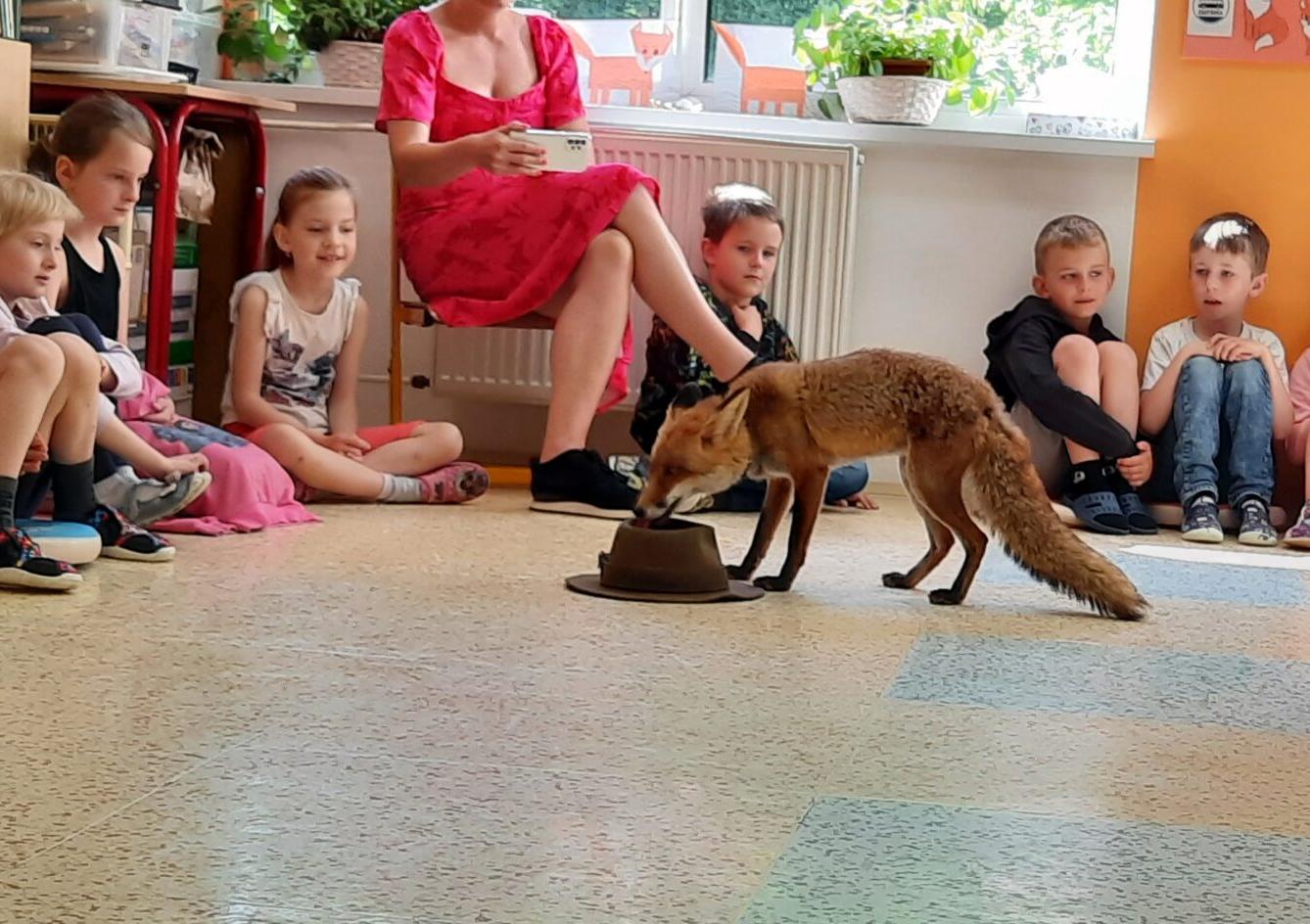 31. 5., Liška u prvňáčků - 4