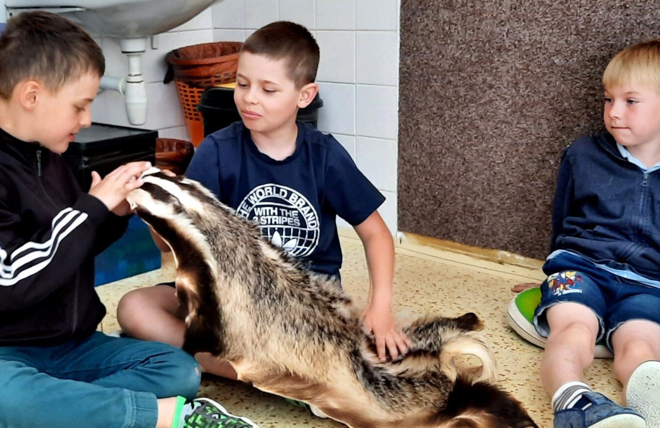 31. 5., Liška u prvňáčků - 18