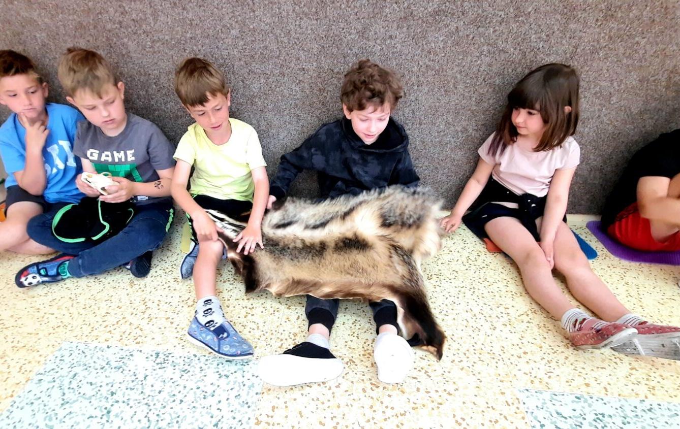 31. 5., Liška u prvňáčků - 20