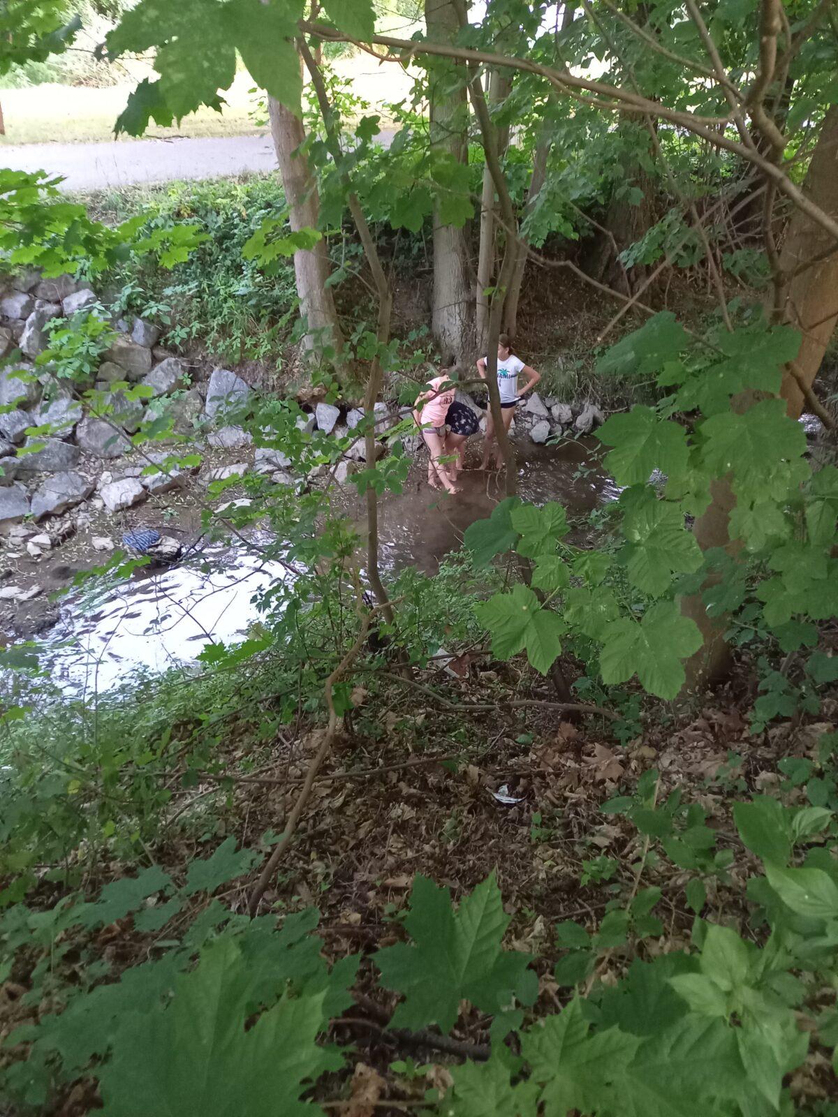 5. třída - Spaní ve škole, Den pro 6. třídu - 7