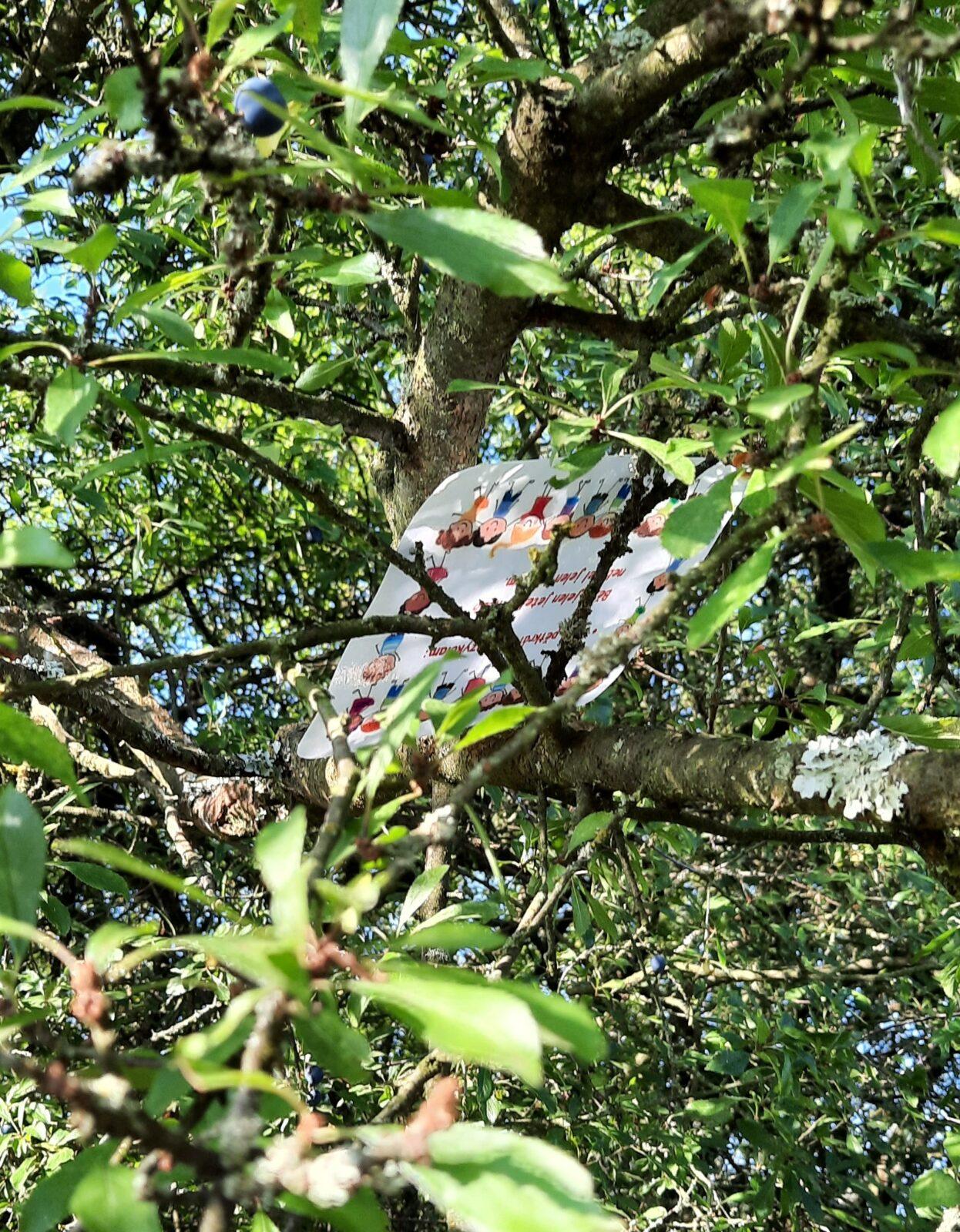 8. 9. Stopovaná s opékáním - 3