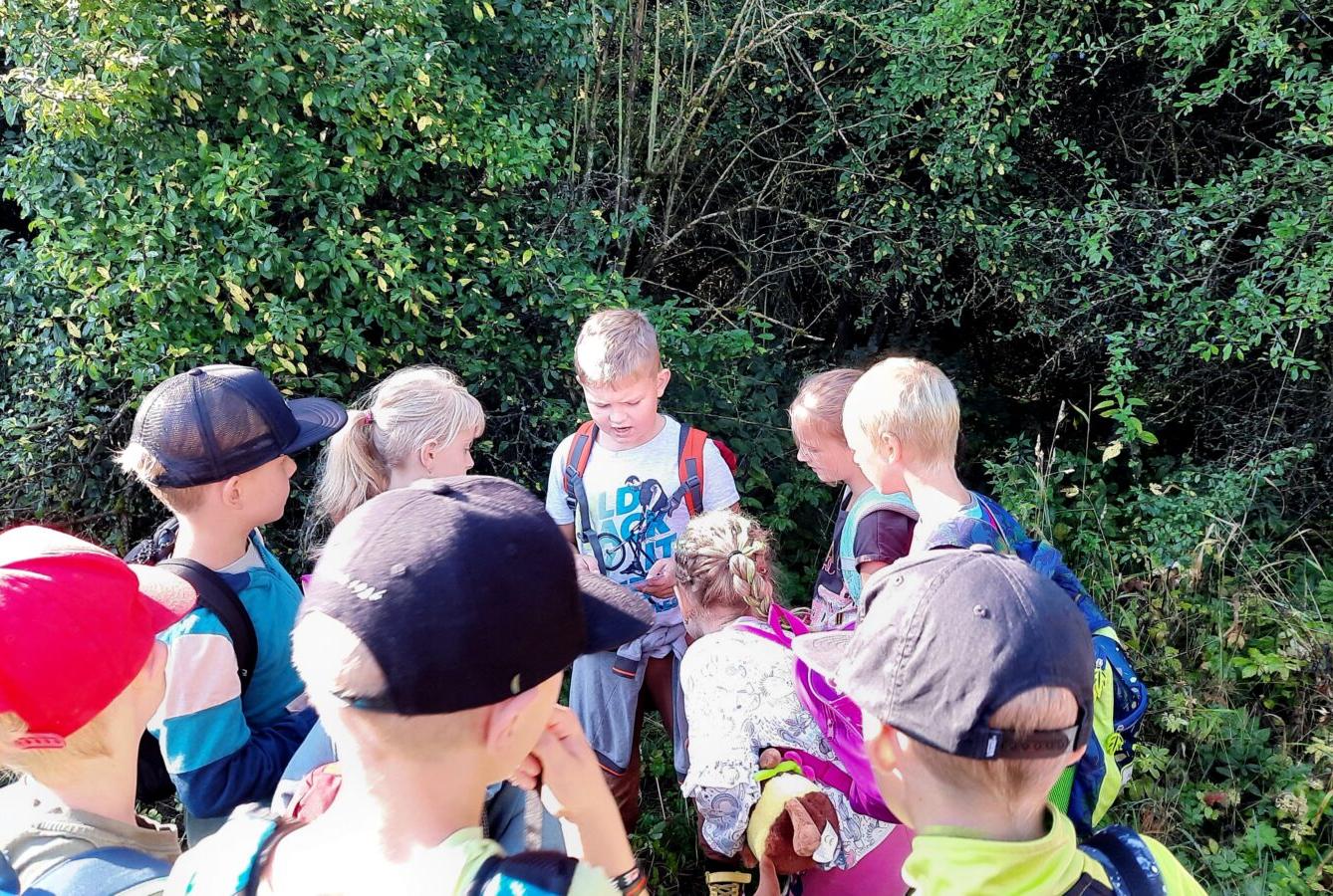 8. 9. Stopovaná s opékáním - 7