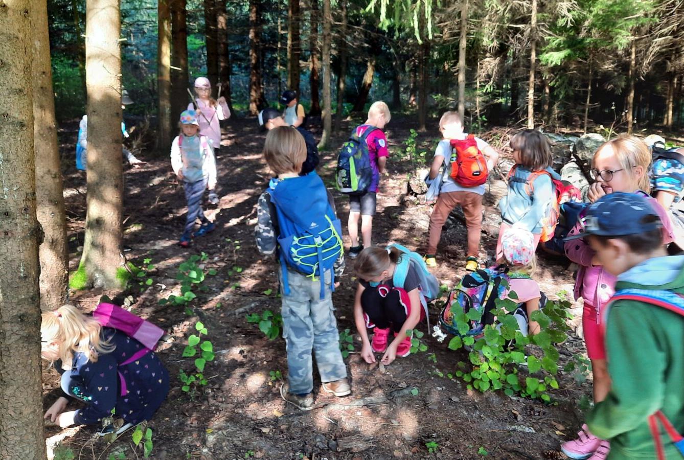 8. 9. Stopovaná s opékáním - 22