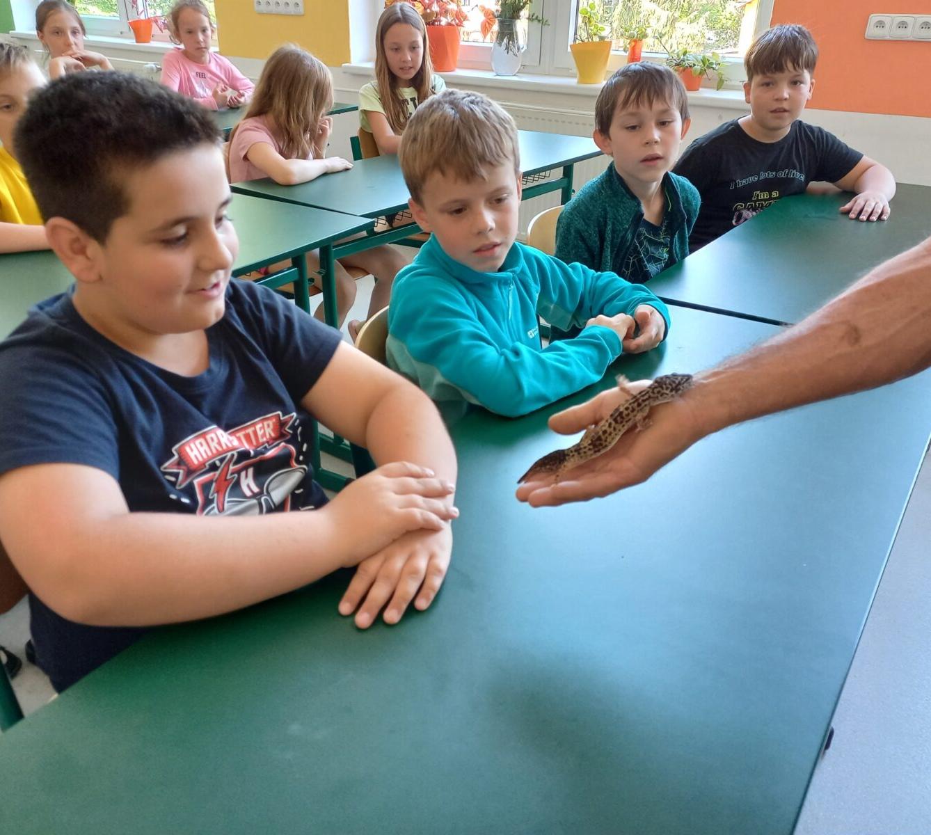 Exotická zvířata pro 3. a 4. třídu - 1