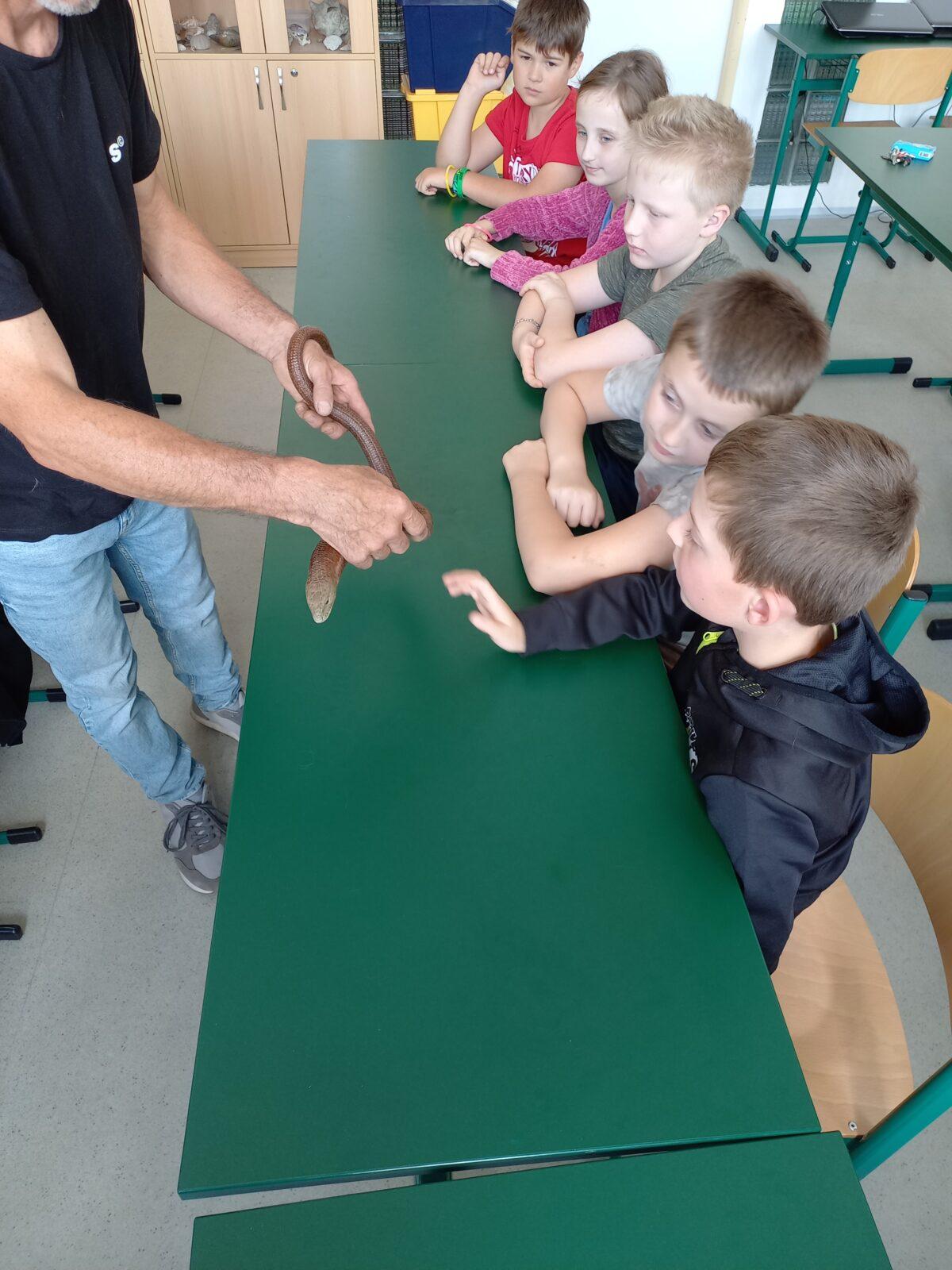 Exotická zvířata pro 3. a 4. třídu - 5