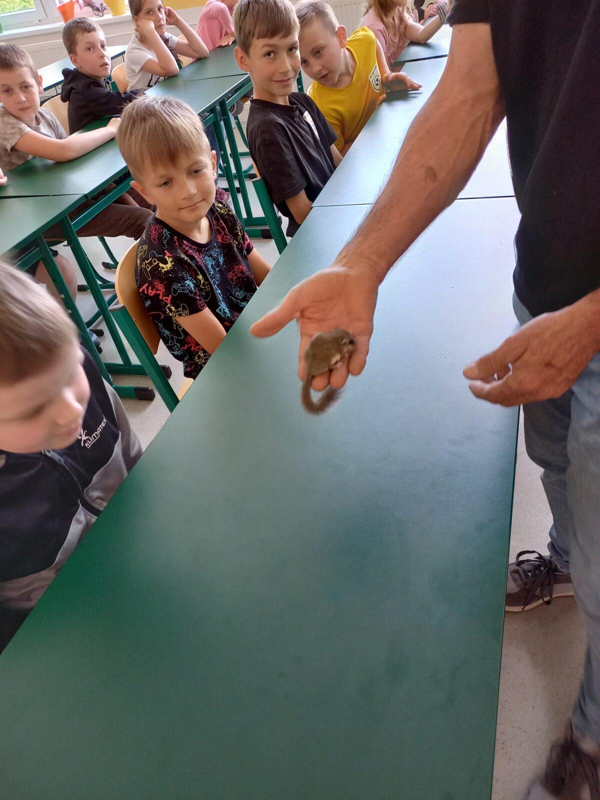 Exotická zvířata pro 3. a 4. třídu - 7