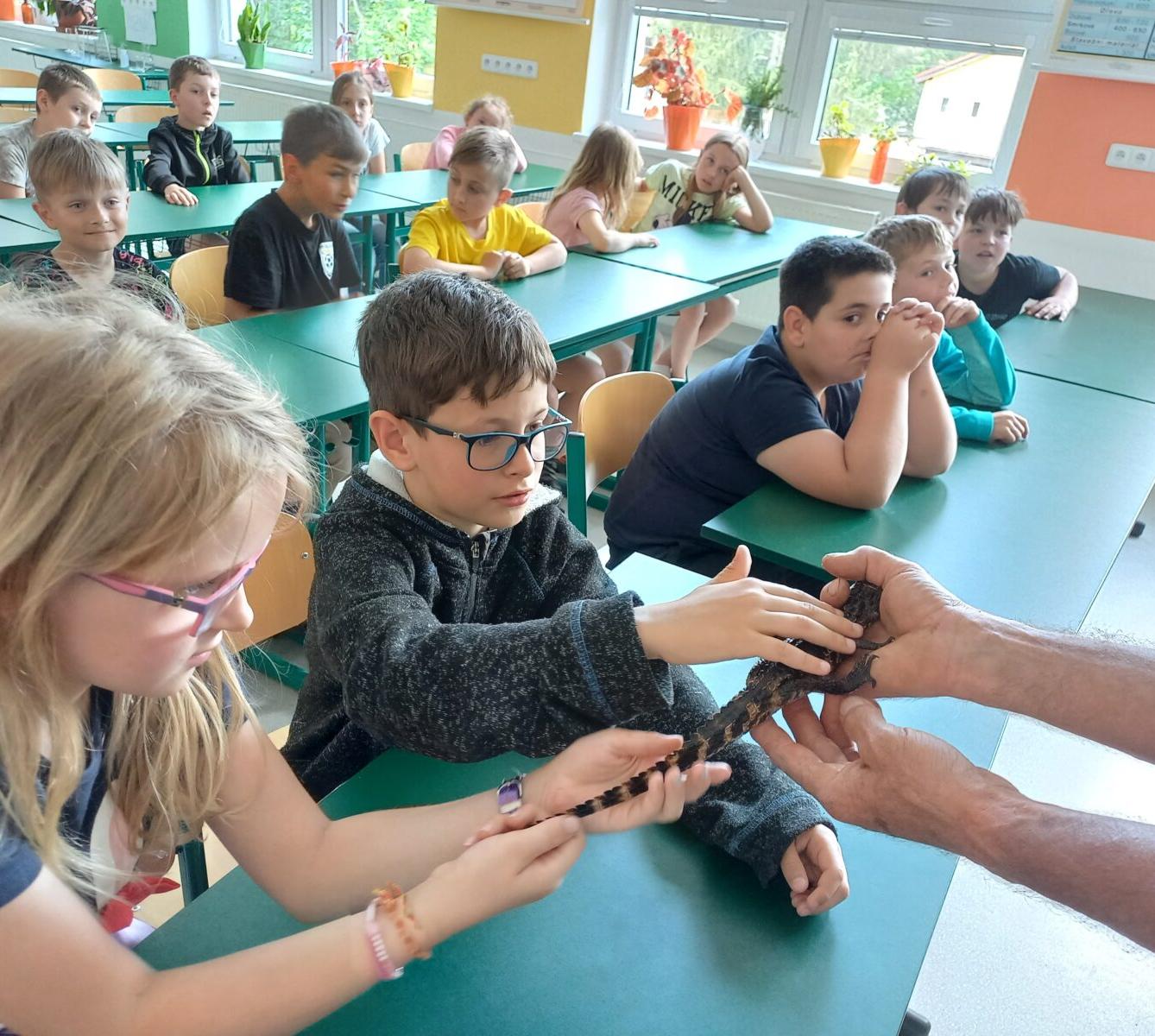 Exotická zvířata pro 3. a 4. třídu - 8