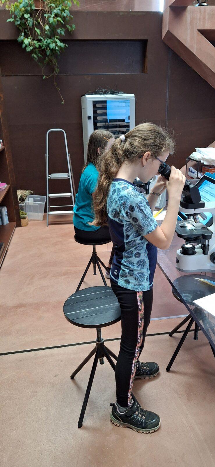 "Páťáci na cestách" - 8