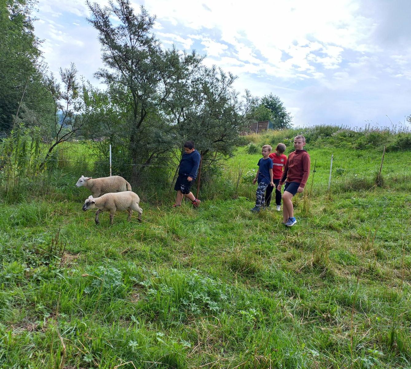 Příměstský tábor "Týden plný zábavy" - pondělí 8. 7. - 9