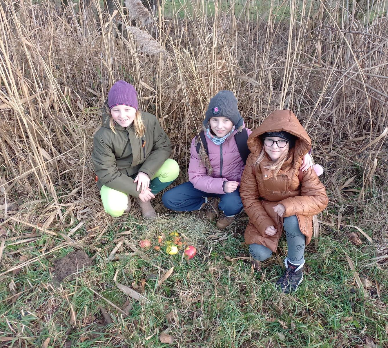 Vánoční les na 1. stupni - 1