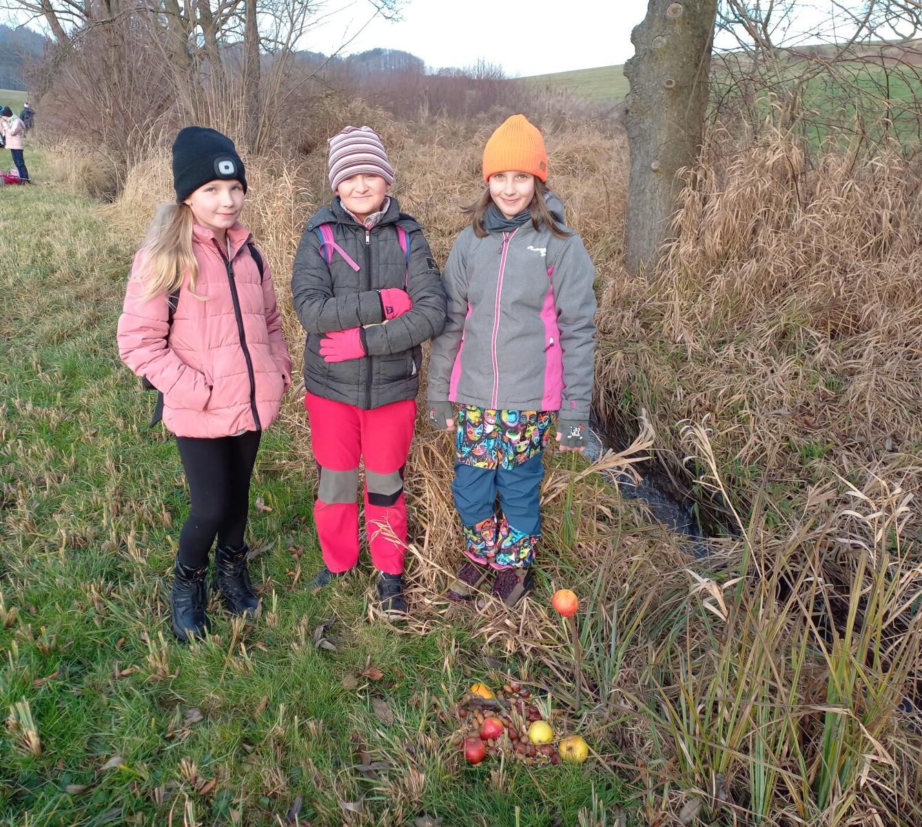 Vánoční les na 1. stupni - 10