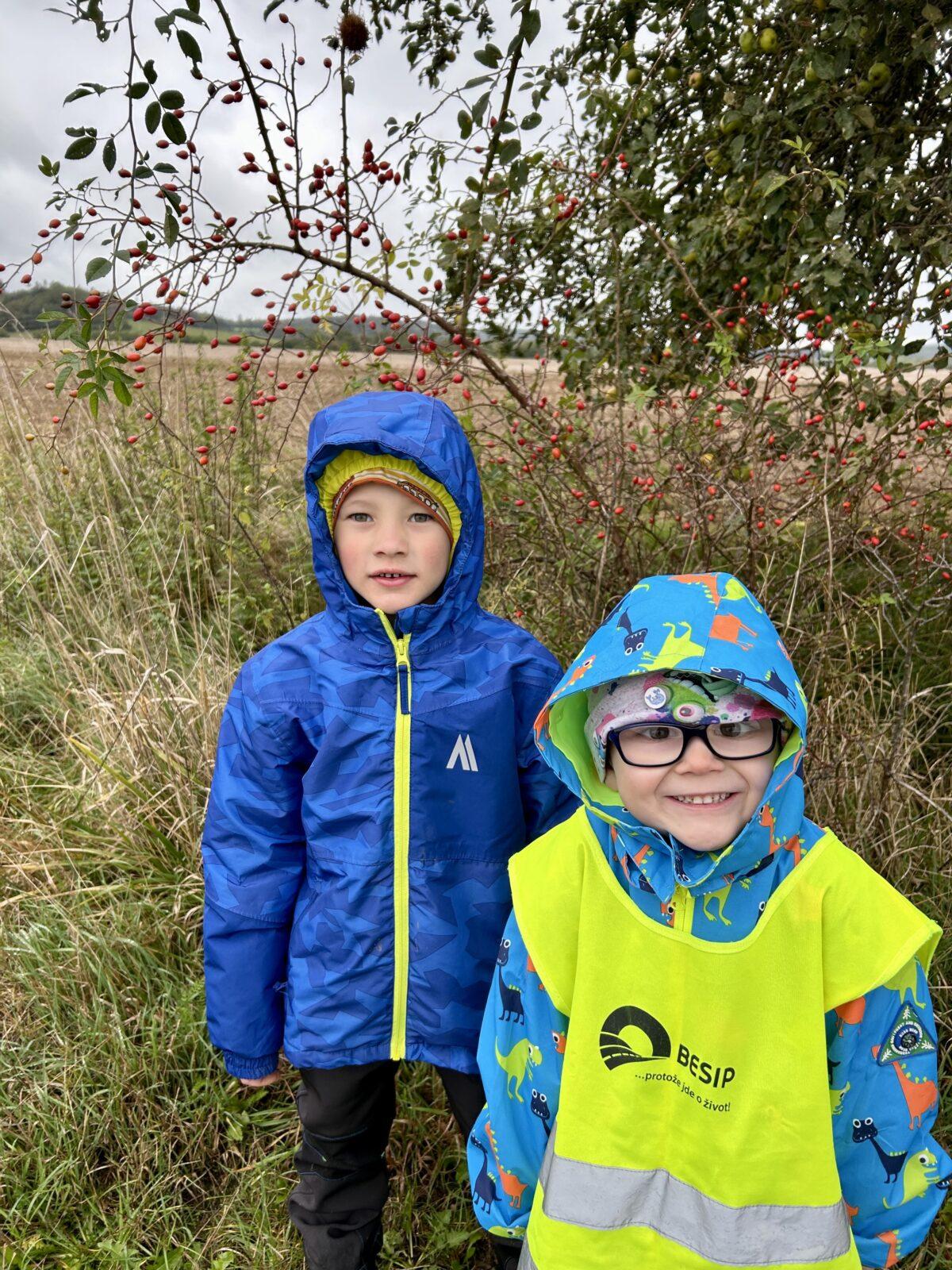 SOVIČKY: DARY PODZIMU - 14