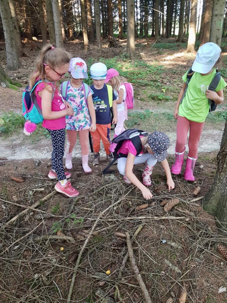 SOVIČKY: VÝPRAVA DO LESA - 15