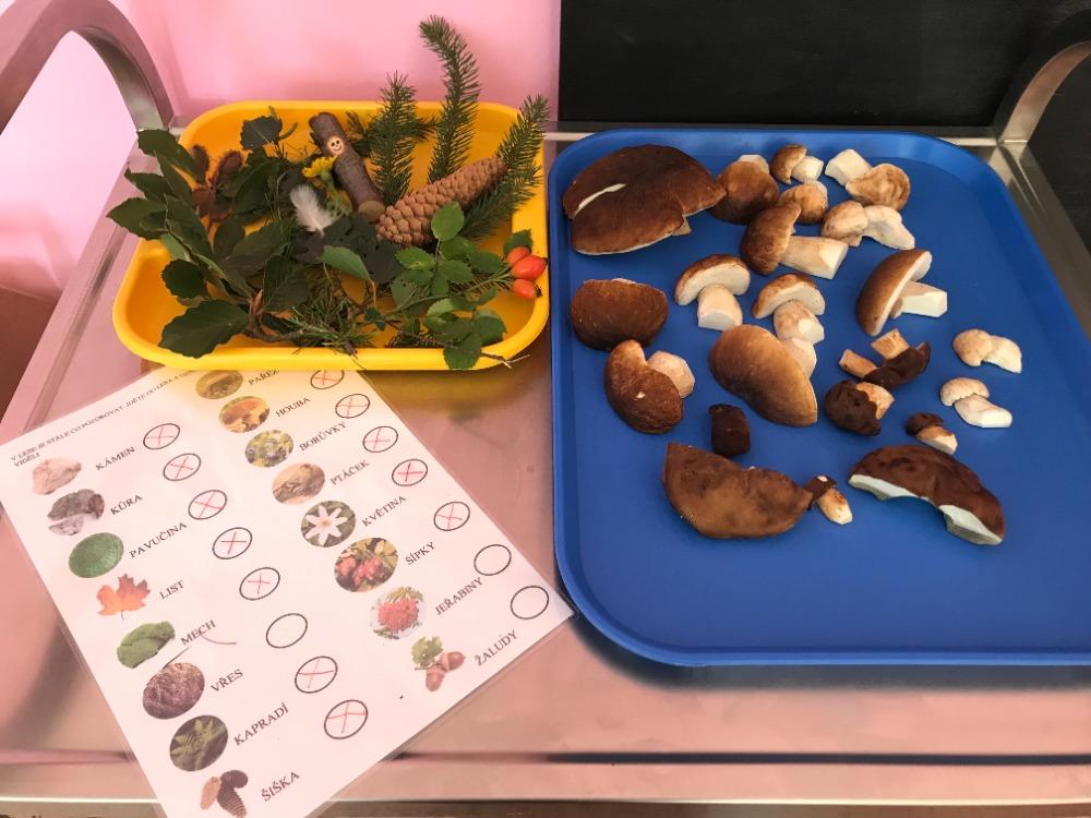 SOVIČKY: VÝPRAVA DO LESA - 20