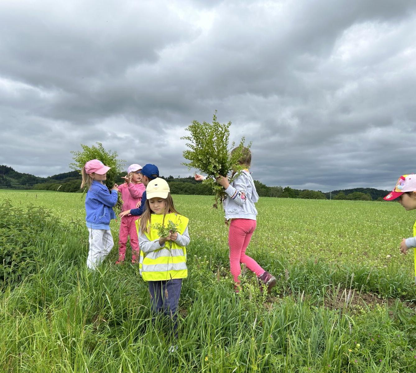 SOVIČKY: ,,JARNÍ LOUKA" - 24