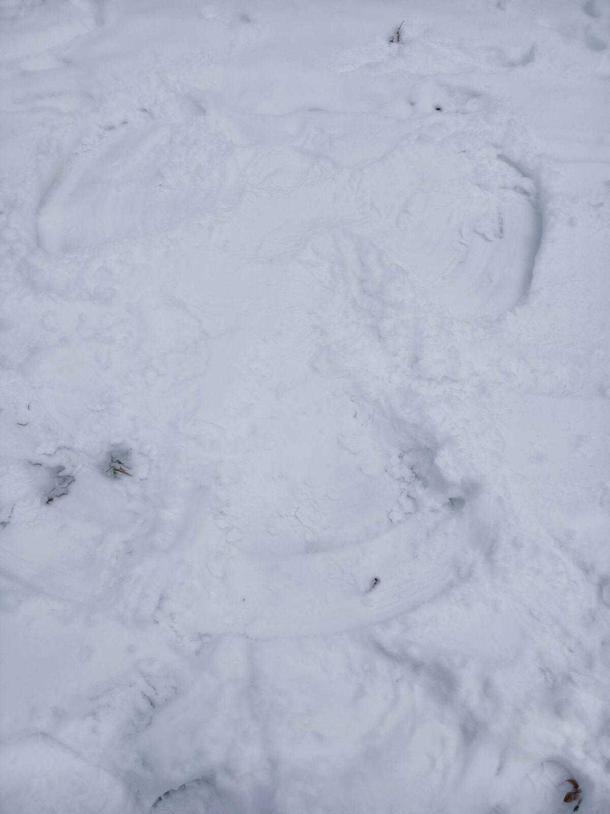 Prosinec ve 2. oddělení - 12