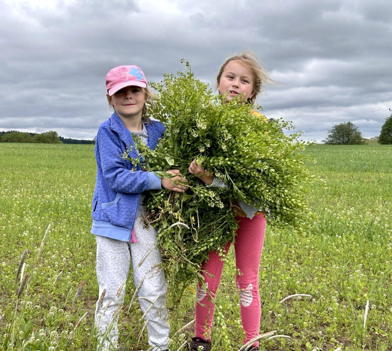 SOVIČKY: ,,JARNÍ LOUKA" - 31