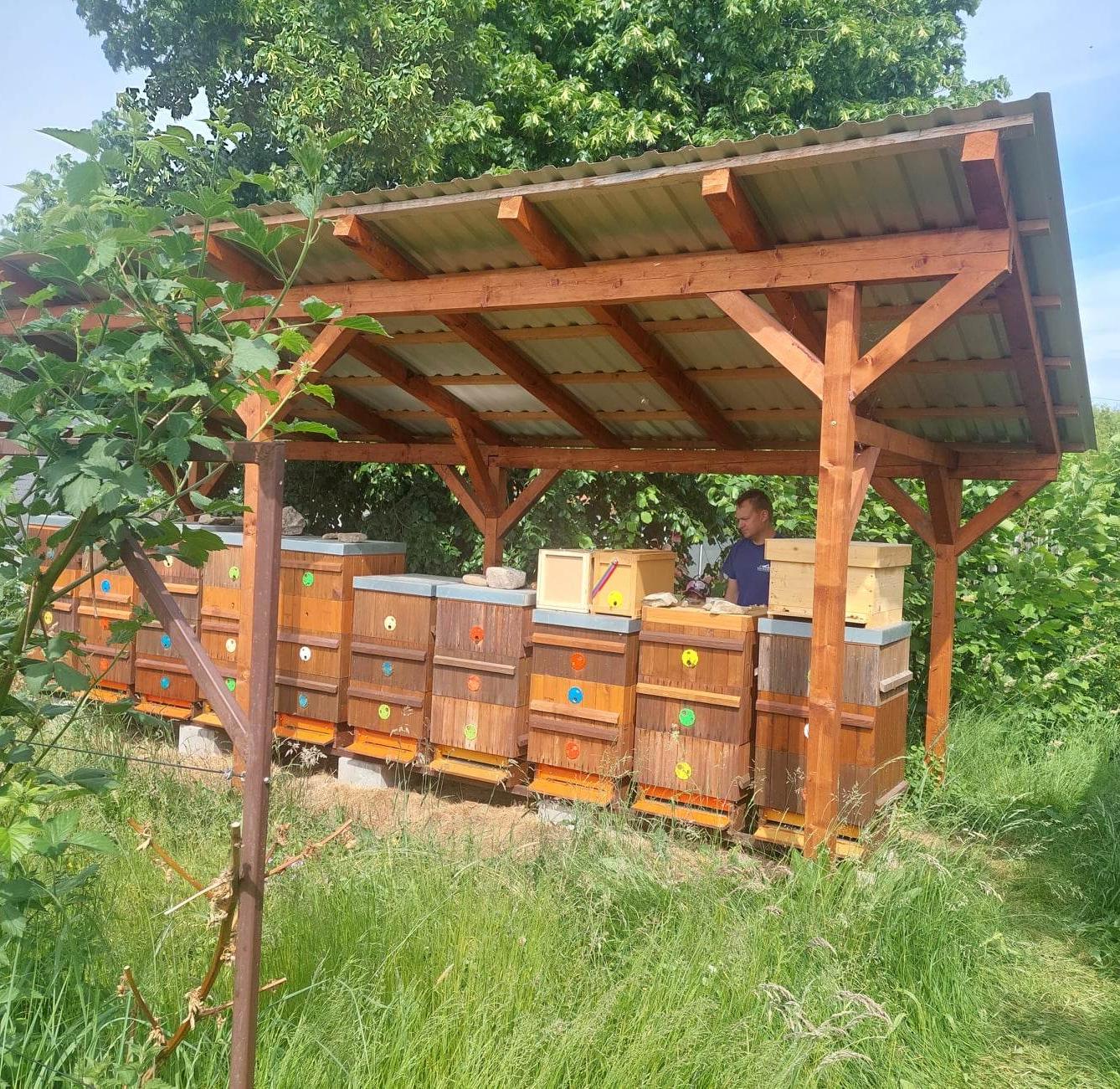 Návštěva prvňáků u včelaře - 12