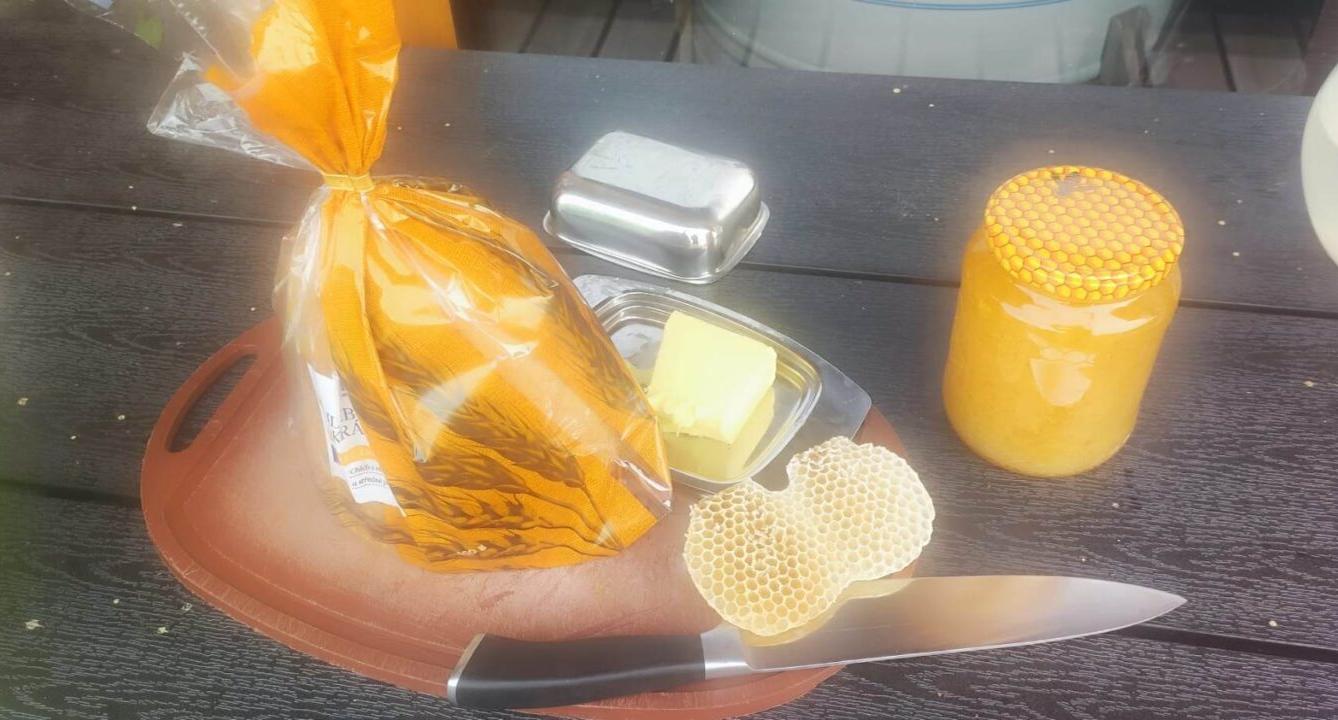 Návštěva prvňáků u včelaře - 18