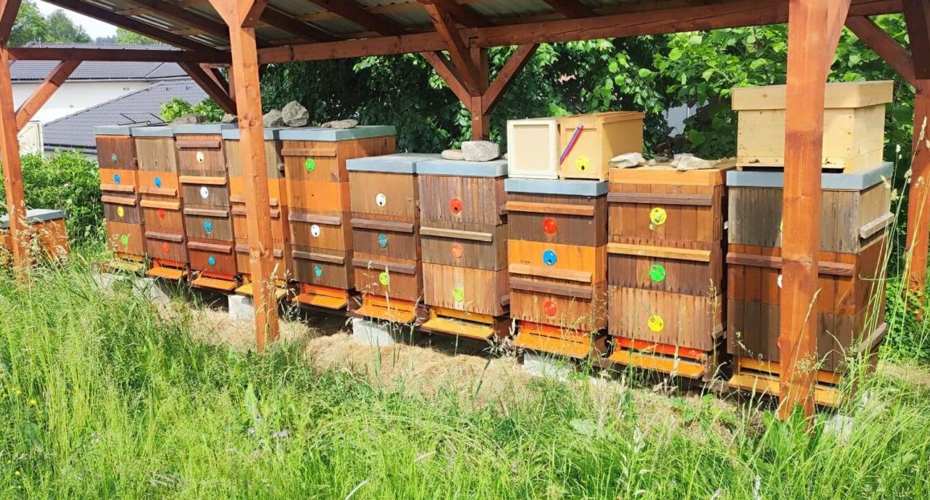 Návštěva prvňáků u včelaře - 21