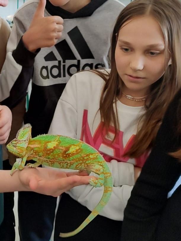 Přednáška s ukázkami exotických zvířat - 10