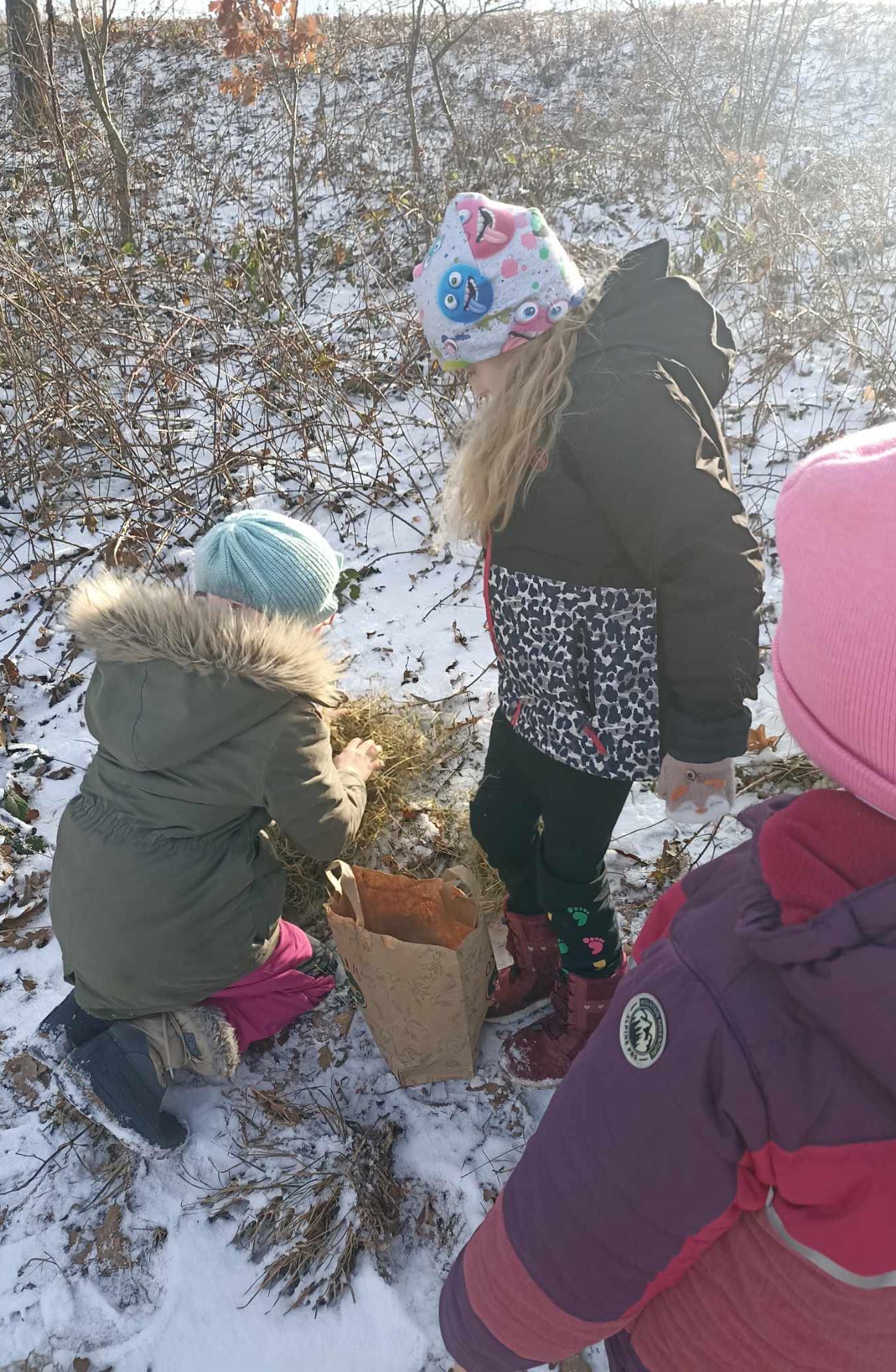 Krmení zvířat - naučná stezka - 1